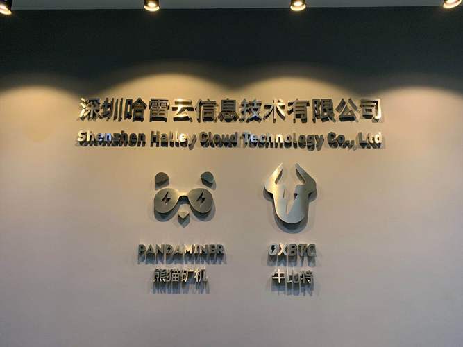 投资咨询;计算机软硬件技术开发,技术服务,技术咨询;从事电子产品的